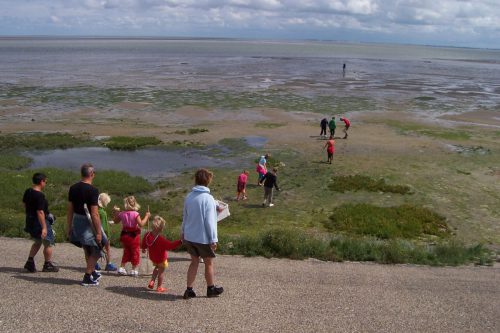 Wadlopen Waddenzee