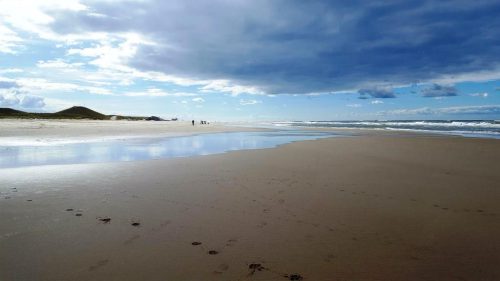 Strand-Weids