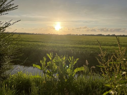 Uitzicht-vanuit-achter