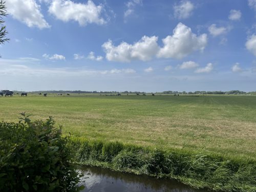 Uitzicht-vanuit-camping