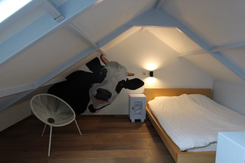 Zilverreiger-slaapkamer-1-koe